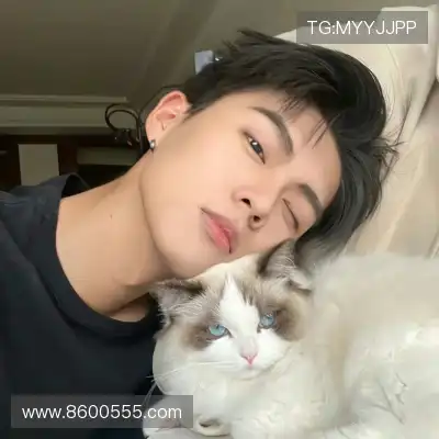 窦芸昀